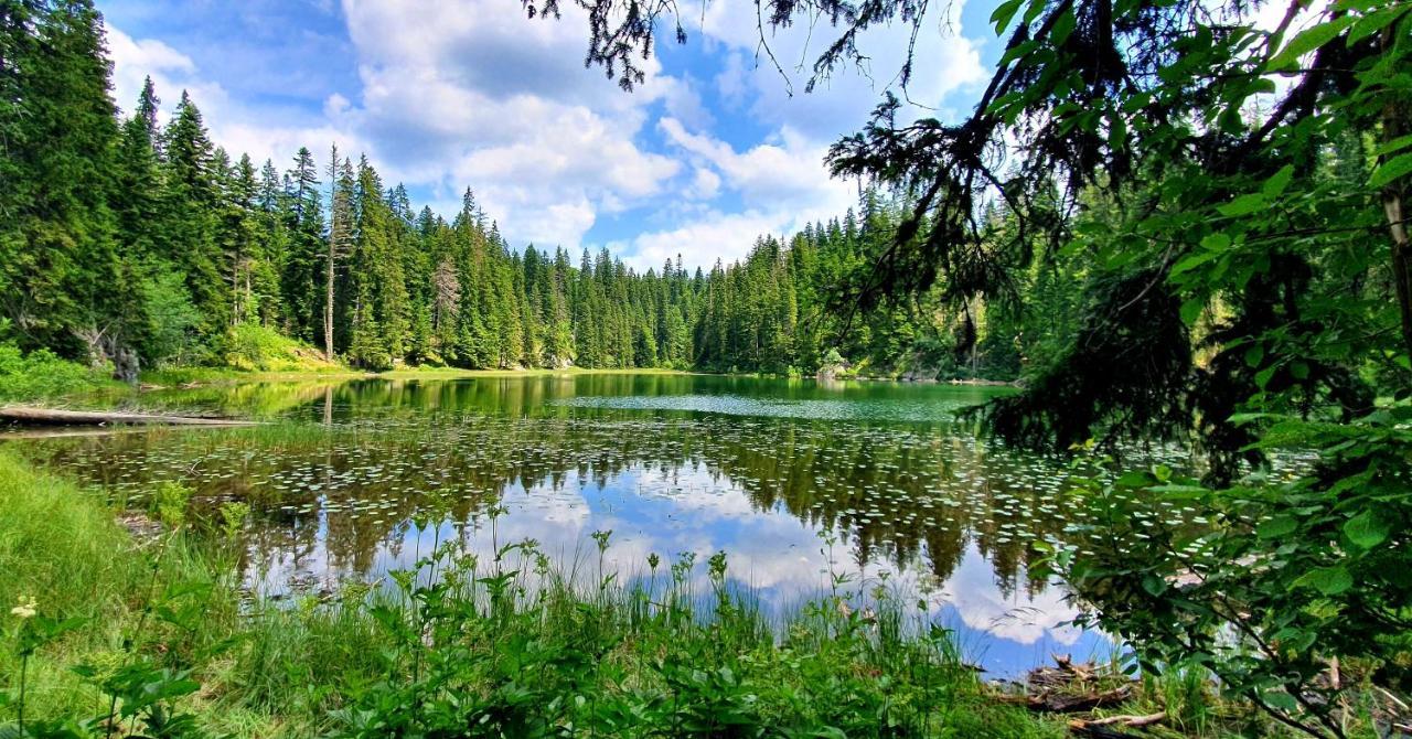 Hedonist Village Žabljak Exteriér fotografie