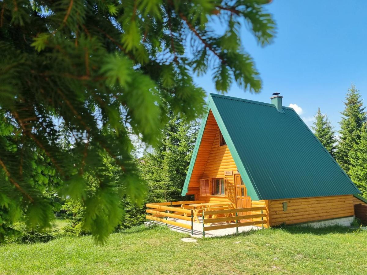 Hedonist Village Žabljak Exteriér fotografie