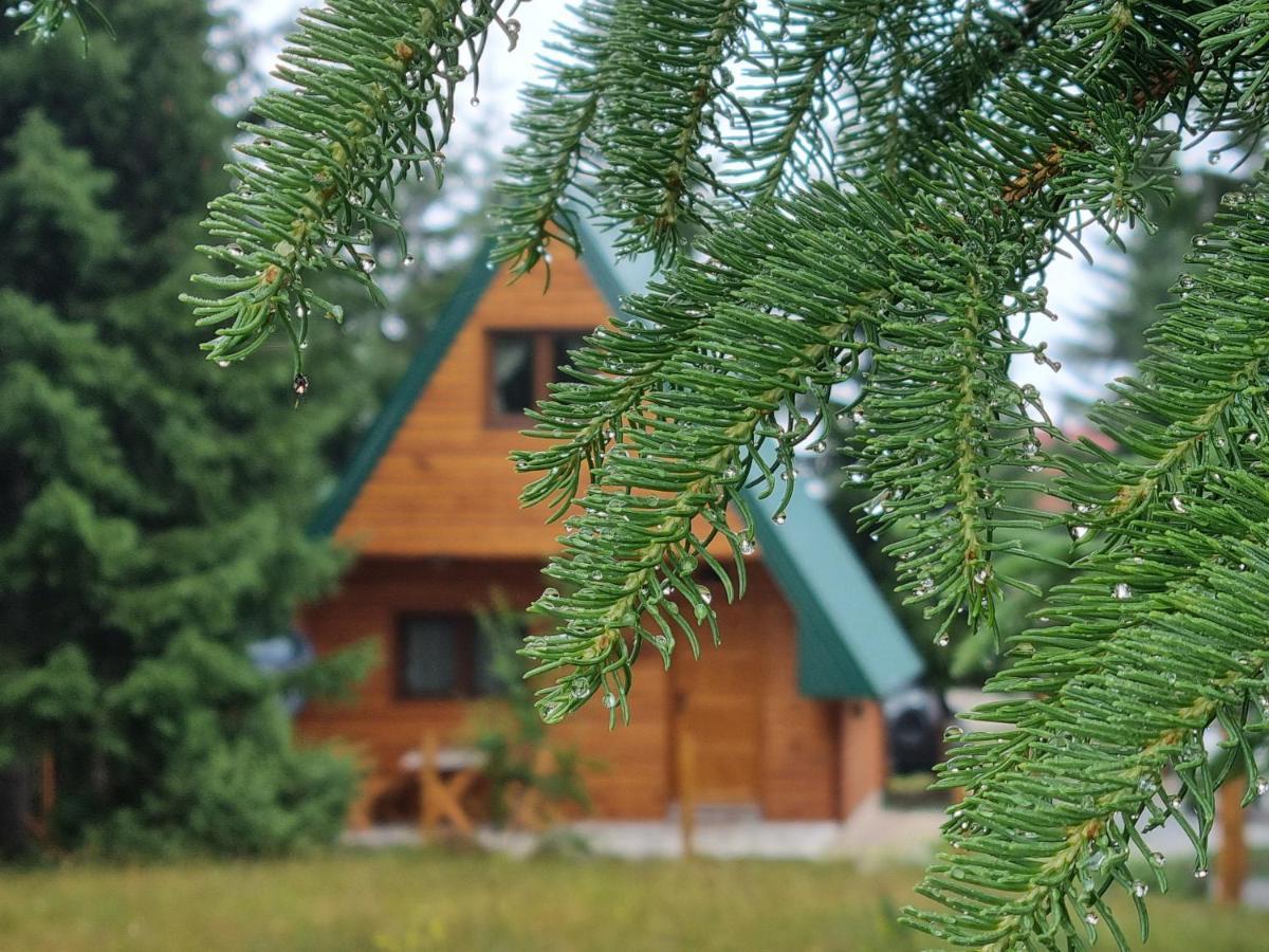 Hedonist Village Žabljak Exteriér fotografie